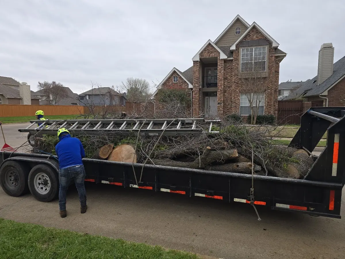 Expert Tree Fertilization with proper safety equipment in Selmer